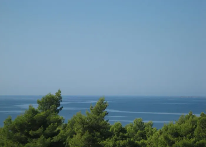 Seapine Studios
