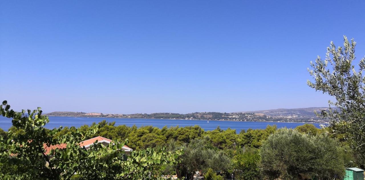 Apartment Seapine Lassi (Kefalonia)