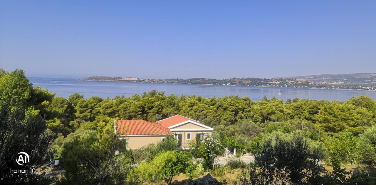 Seapine Lassi (Kefalonia)