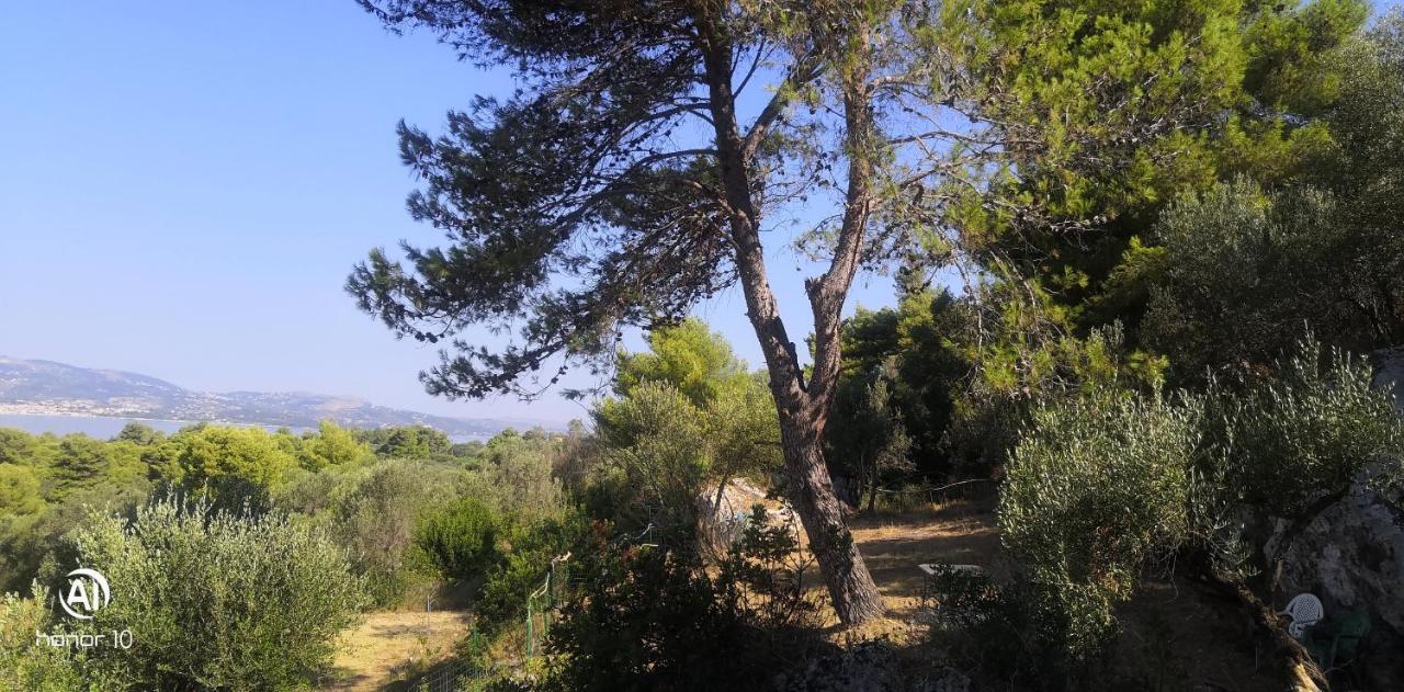 Seapine * Lassi (Kefalonia)