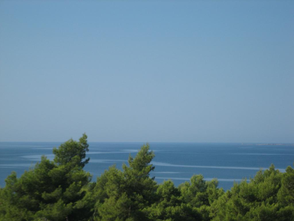 Seapine *